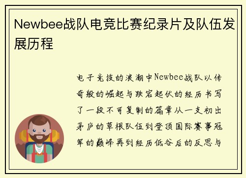 Newbee战队电竞比赛纪录片及队伍发展历程