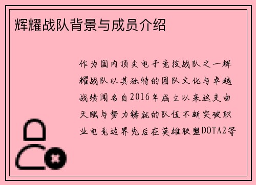 辉耀战队背景与成员介绍